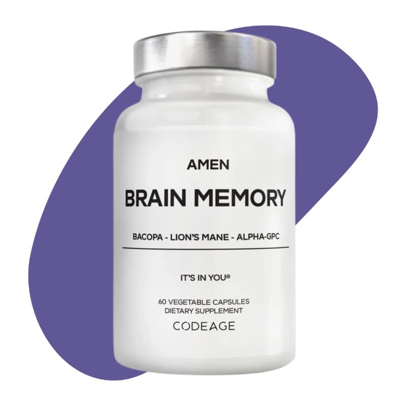 Brain Memory